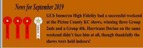 News for September 2019 GCh Immerzu High Fidelity had a successful weekend at the Pictou County KC shows, winning three Group 2nds and a Group 4th. Hurricane Dorian on the same weekend didnt faze him at all, though thankfully the shows were held indoors!