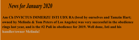 News for January 2020 Am Ch INVICTUS IMMERZU ISTI UDX RA (bred by ourselves and Tamzin Hart; owned by Melinda & Tom Peters of Los Angeles) was very successful in the obedience rings last year, and is the #2 Puli in obedience for 2019. Well done, Isti and his handler/owner Melinda!