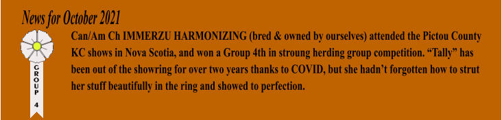 News for October 2021 Can/Am Ch IMMERZU HARMONIZING (bred & owned by ourselves) attended the Pictou County KC shows in Nova Scotia, and won a Group 4th in stroung herding group competition. Tally has been out of the showring for over two years thanks to COVID, but she hadnt forgotten how to strut her stuff beautifully in the ring and showed to perfection.